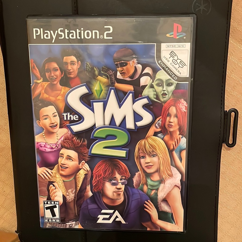 PlayStation SIMS 2